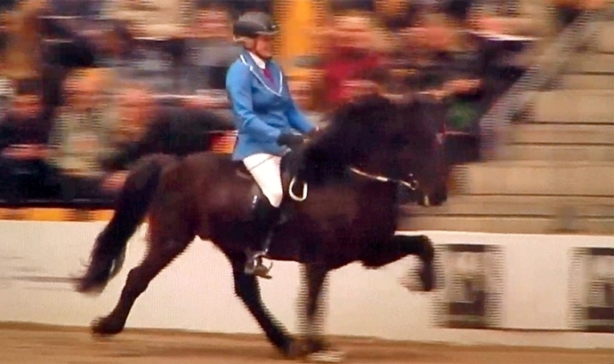 Odense T2: Steffi und Viðir zügellos obenauf / Video
