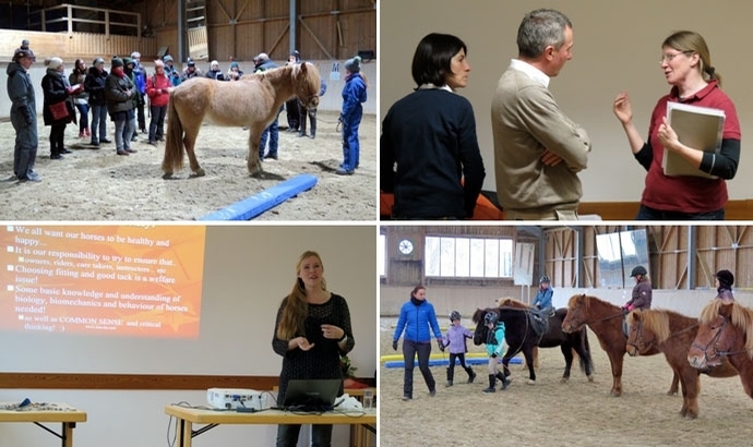 Tolles FEIF-Seminar für Ausbildung und Jugend
