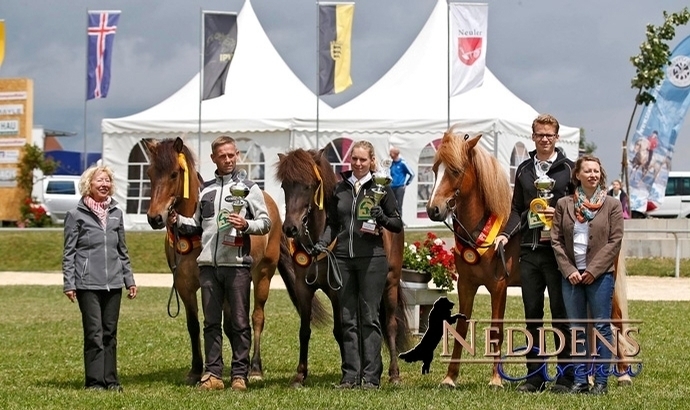 FIZO 2016: Termine in Nord, Süd, Ost und West