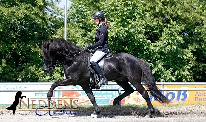 Lingen: Lena, Lucie, Ladina, Marie und Hannah jubeln