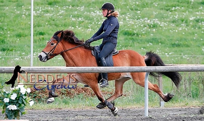 Móarbær: Ladina, Alina, Sina, Tanja, Ilke, Sabrina 1a