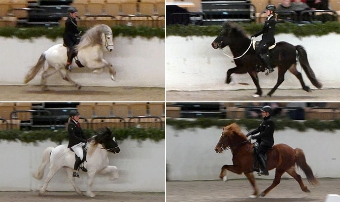 Valeska, Thomas, Steffi, Inga toppen Nord-Cup