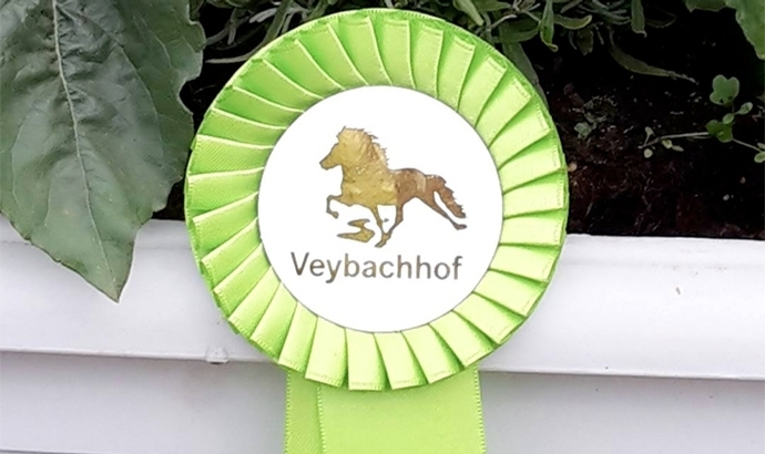 Veybachhof: Gold für Carolin, Denis und Carina
