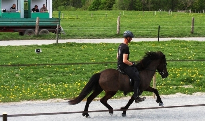 FIZO Berlar: Hagall ist Sauerland-Prüfungssieger