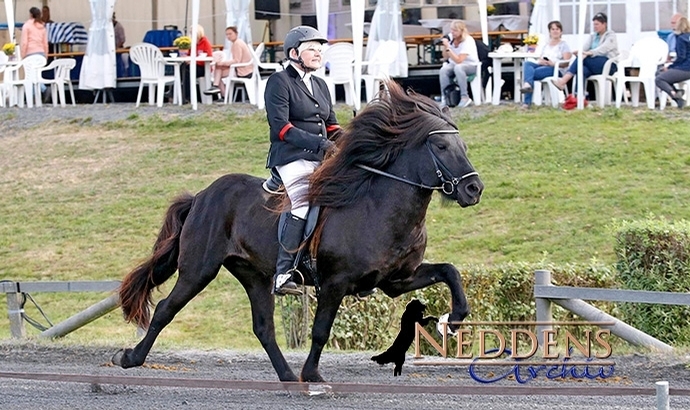 GPZ: T8-Gold für Heinz, Ulla, Isabel, Maja, Fynn