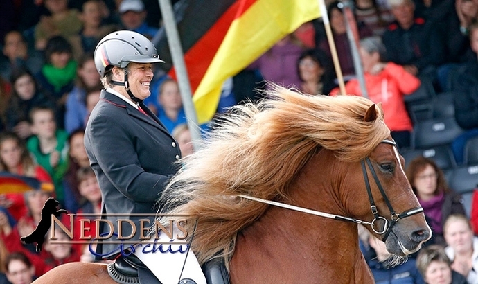 WM: Goldener Jo-Jo-Effekt in der Töltprüfung / Videos