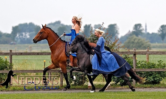 Eichenhof: Nordsee-Fest inkl. Neddens-Album