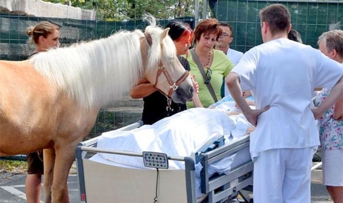Klinikum Fürth bringt Dana zu sterbender Patientin