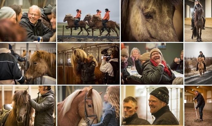 Großes Fotoalbum von der Icelandic Horse Expo