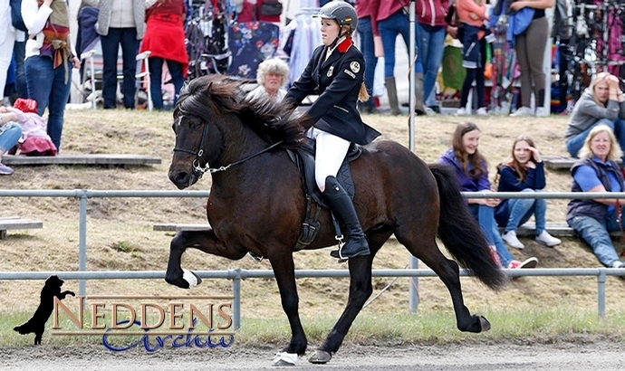 Lingen live: Laura, Lea und Marvin auf Goldkurs