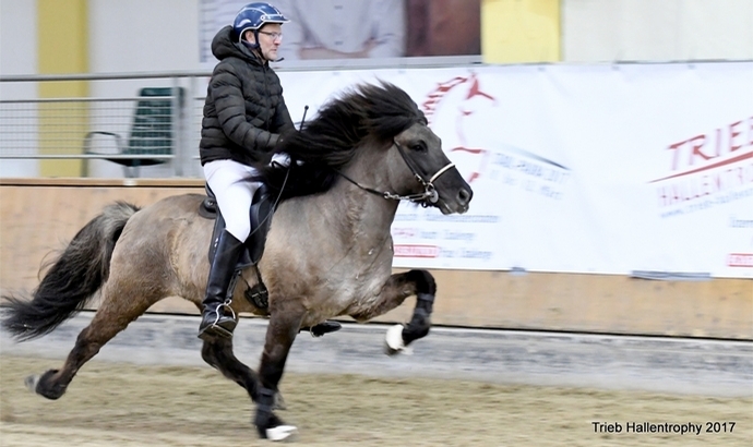 Stadl-Paura: Gold für Beggi, Irene/Freija die Top-Tölter
