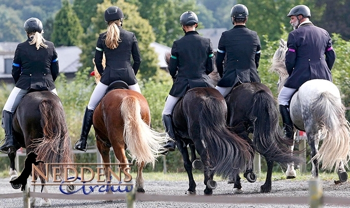 GPZ-Finals: Goldmedaillen für Topur, Orka & Skuggi