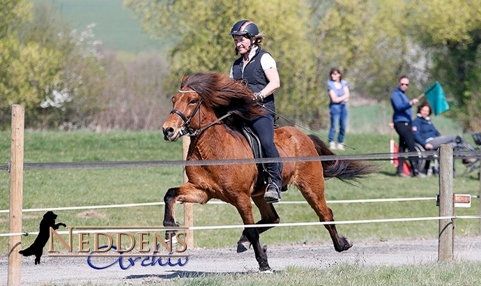 Ellenbach: Video-Nachlese von Sport und Schau