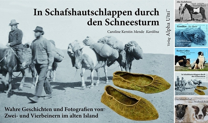 Erzählbücher aus Island: sollte man gelesen haben