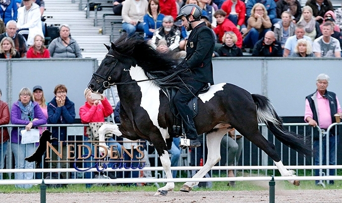 WM: Bjartmar, Mjölnir, Grani holen Hengst-Gold
