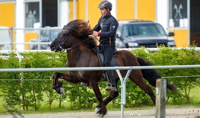 FIZO Verden: Garpur, Gear, Frami, Gersemi obenauf