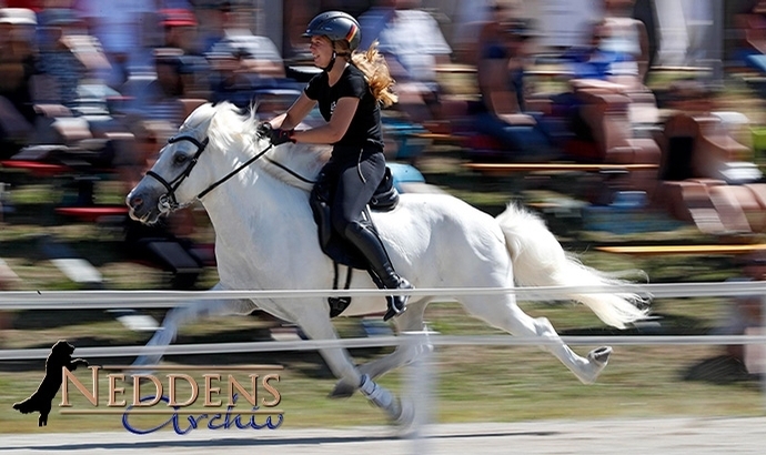 MEM: Speedpass-Titel für Helen (YR), Charlotte