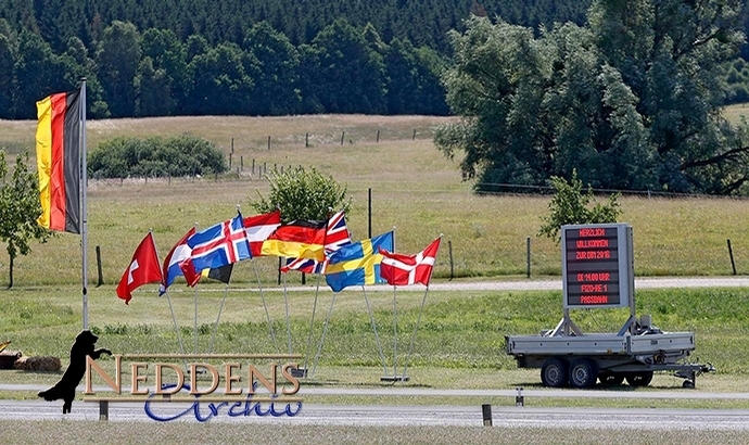 DIM: Exterieur-Spitze für Högnis Örvar (8.35)