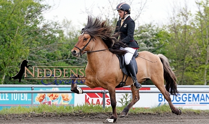 Lingen: Johanna, Johanna, Lisa toppen Kapriolen-V1