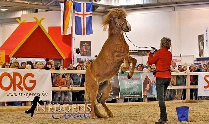 Equitana 2017: IPZV lädt Höfe zum Mitmachen ein