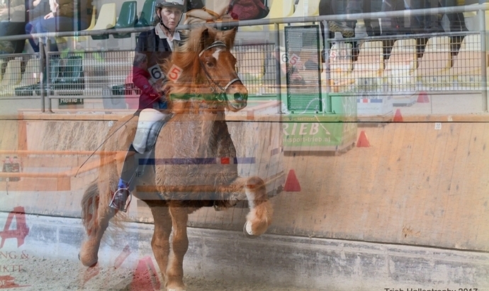 Stadl-Paura: Gang-Gold für Freija, Steffi, 2x Vicky