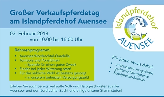 Auensee Rosenheim lädt zum Verkaufspferdetag