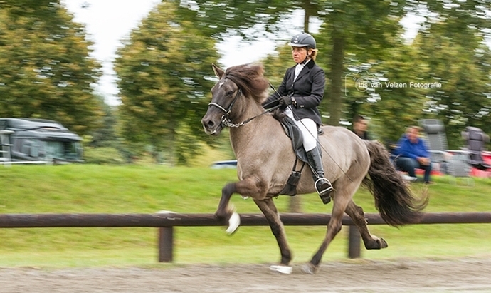 Exloo-Gold: Marion, Arja, Nienke, Yvonne, Jin, Lisa