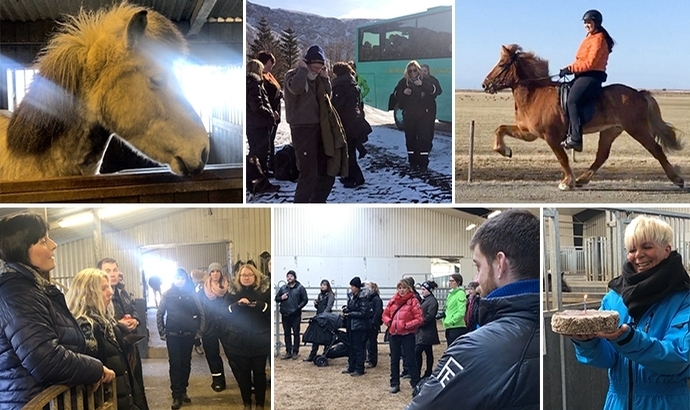 Expo zu Gast auf Fet, Árbæjarháleiga, Austurkot