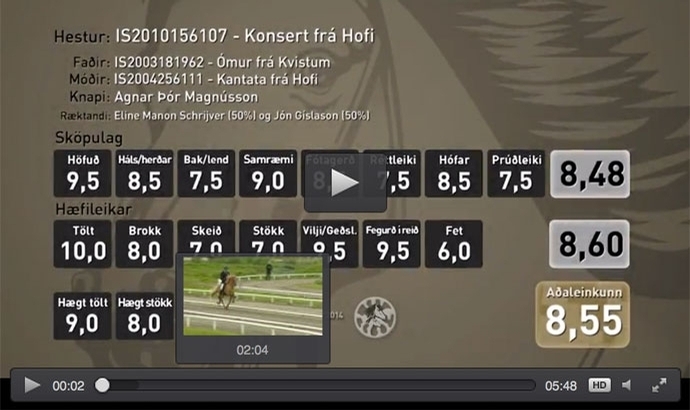 WorldFengur: 277 Videos vom Landsmót 2014