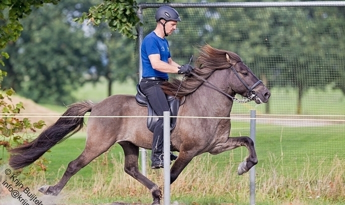 FIZO Exloo: Barón van Waldthorst Prüfungssieger