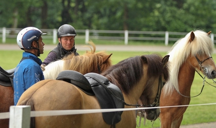 Foto-Nachlese von der FIZO-Prüfung in Verden