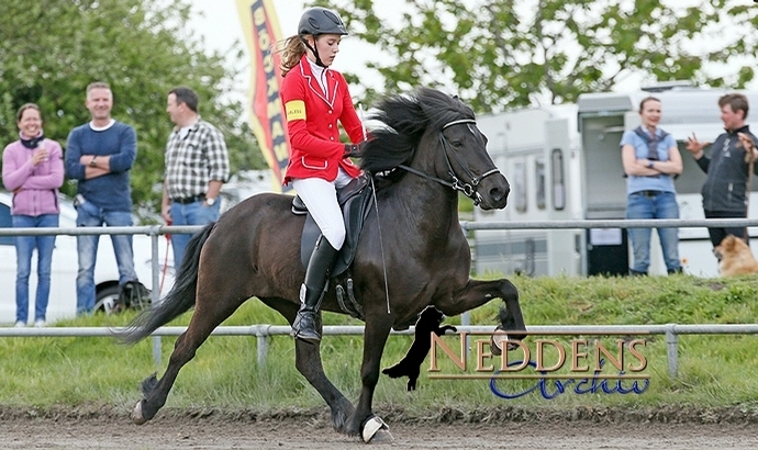 Lingen: Lotti und Teresa ex-aequo vorn in YR-V2