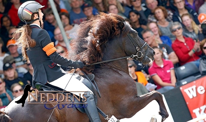WM: Olivia und Alvar vergolden Youngster-T1