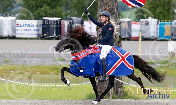 Nordische: Gæðinga-Gold für Kristall, Háfeti, Brimar