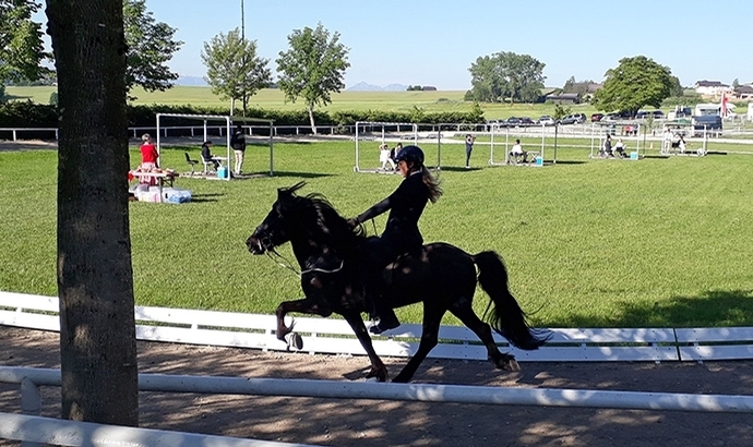 Straßwalchen: 2x Oliver, Gerrit und Fabienne jubeln