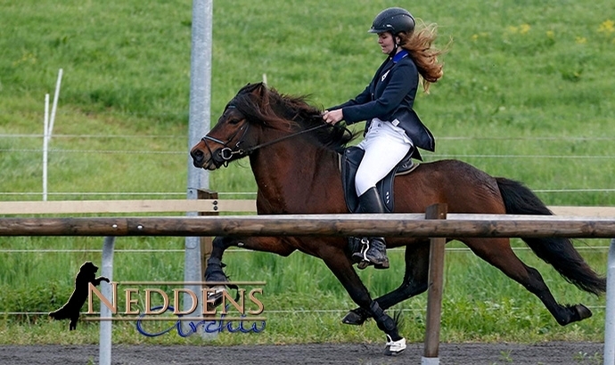 Móarbær: Gold für Martin und Anna, Lucie souverän