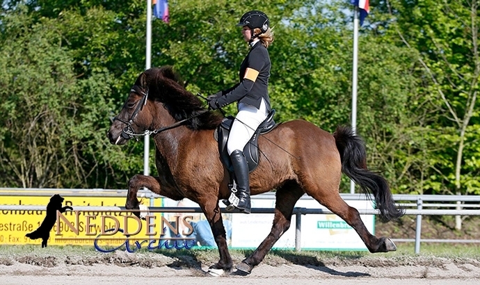Lingen: Jubel bei Laura, Marina, Maike, Hannah, Flo