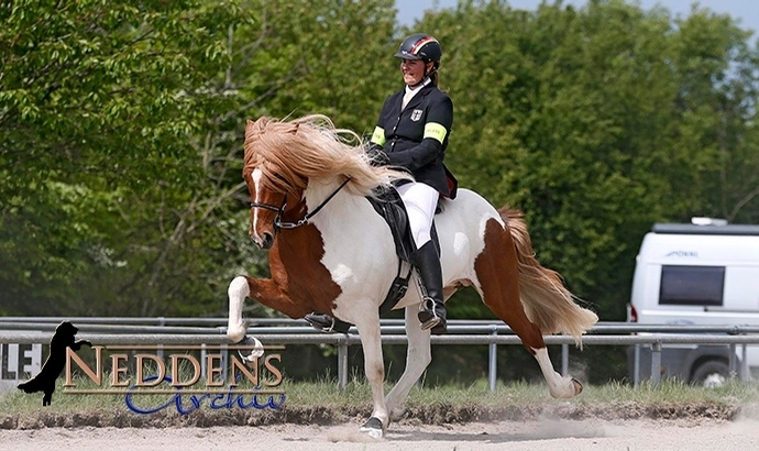 Goldenes Double für Lisa nach V(örður)1-Sieg
