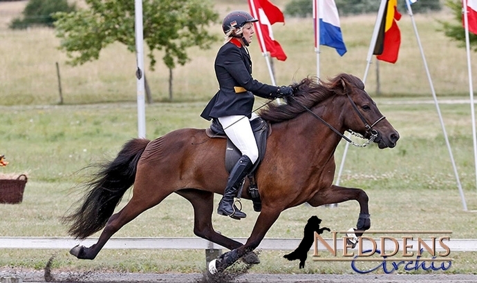 DIM: PP1-Titel an Vicky & Salvör vor Lisa, Marie