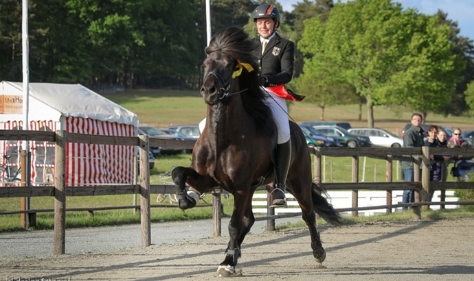 Kronshof: Frauke glänzt mit Gustur & Oðinn / Fotos