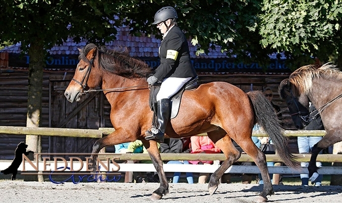 Roderath: Bonk, Philipsen, Steinicke, Lehmacher top