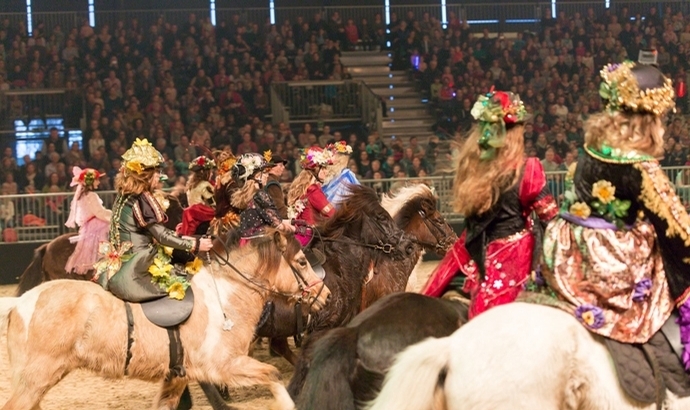 Wieckenberger Quadrille im Vier-Perspektiven-Video