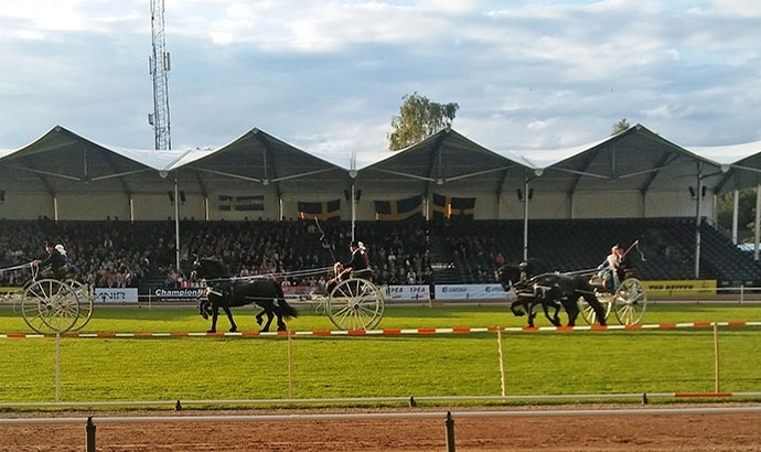 WM: Rennen, Chor-Gesang und Gala-Freuden