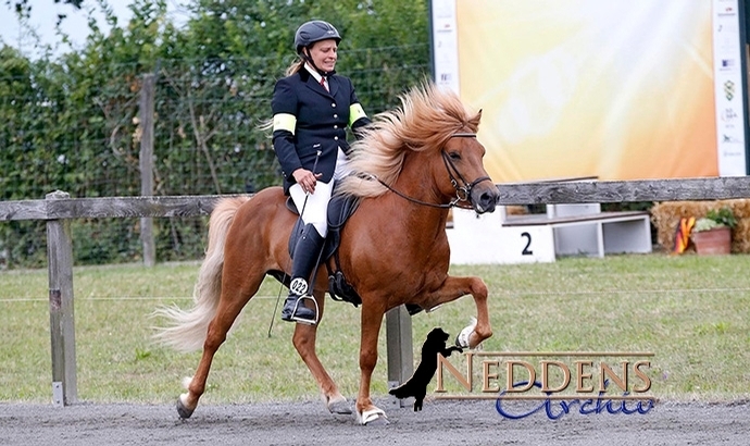DIM: Geysir und Demantur die Futurity-Stars, BF-Upd.