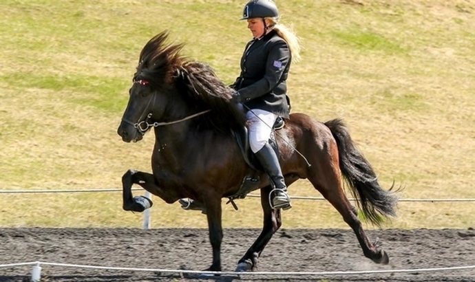 Reykjavík: Gold für Kobbi, Flosi, Hulda und Eyrún