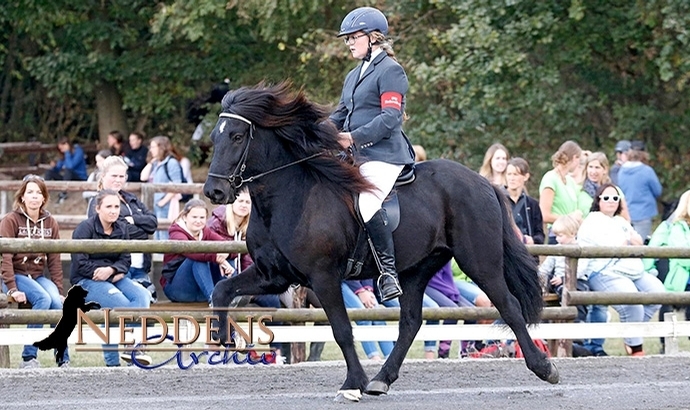Roderath: Geiter, Käuper, Scheuffgen, Stephan vorn