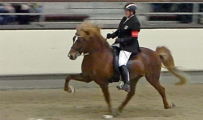 MS: Jolly x2, Hanne, Anna jubeln / Alle Ergebnisse
