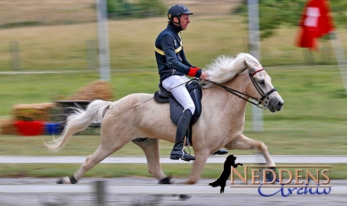 DIM live: Helmut vergoldet den Zachower Speedpass