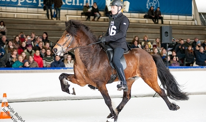 Ice Horse: Jóhann und Thor-Steinn toppen T1