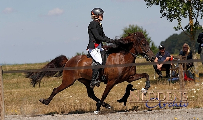 DIM: Beggi gewinnt PP1, Vicky Deutsche Meisterin